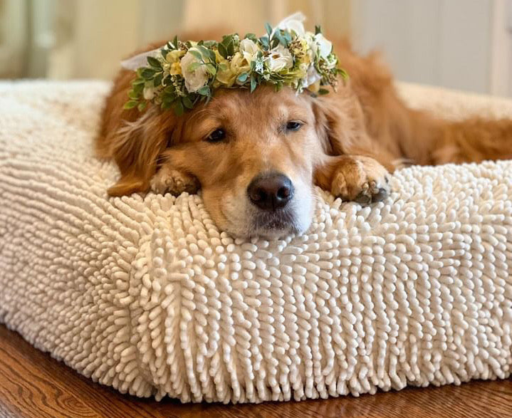 Best dog beds for golden retrievers best sale