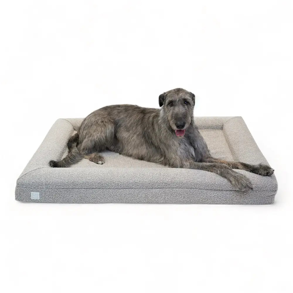 Molecule Air-Engineered Dog Bed, Large