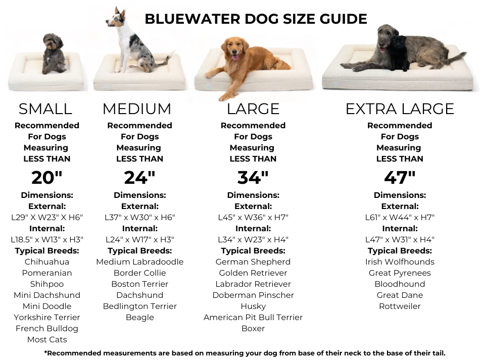 Size guide of Bluewater Dog bed