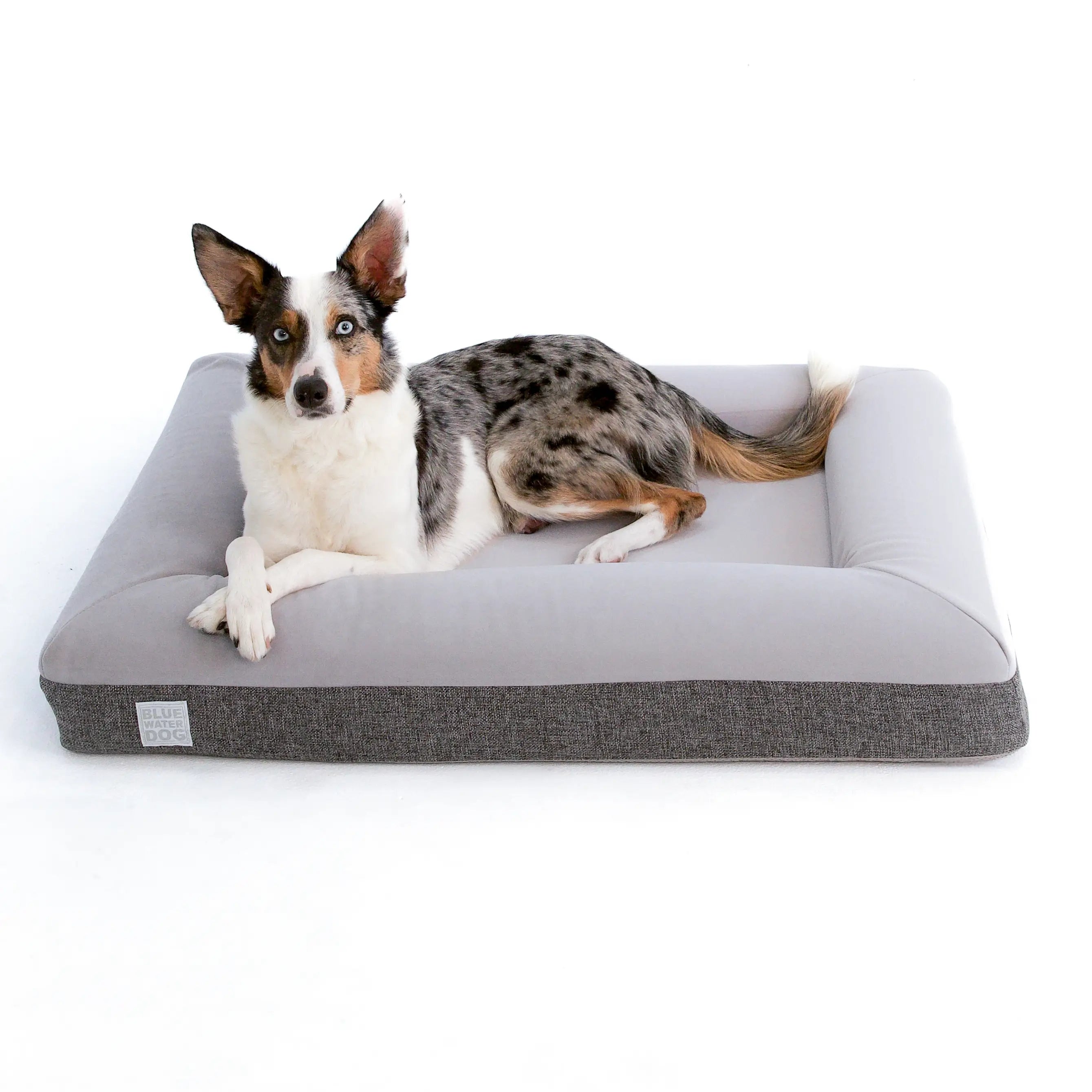 Medium Luxury Essential Orthopedic Bluewater Dog Bed (Gray)