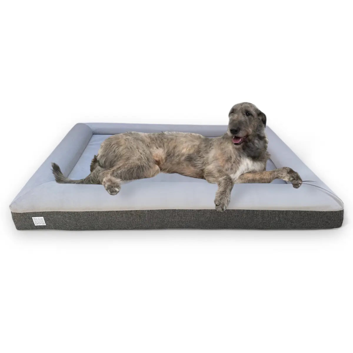 Irish Wolfhound laying on an extra large orthopedic dog bed in gray.