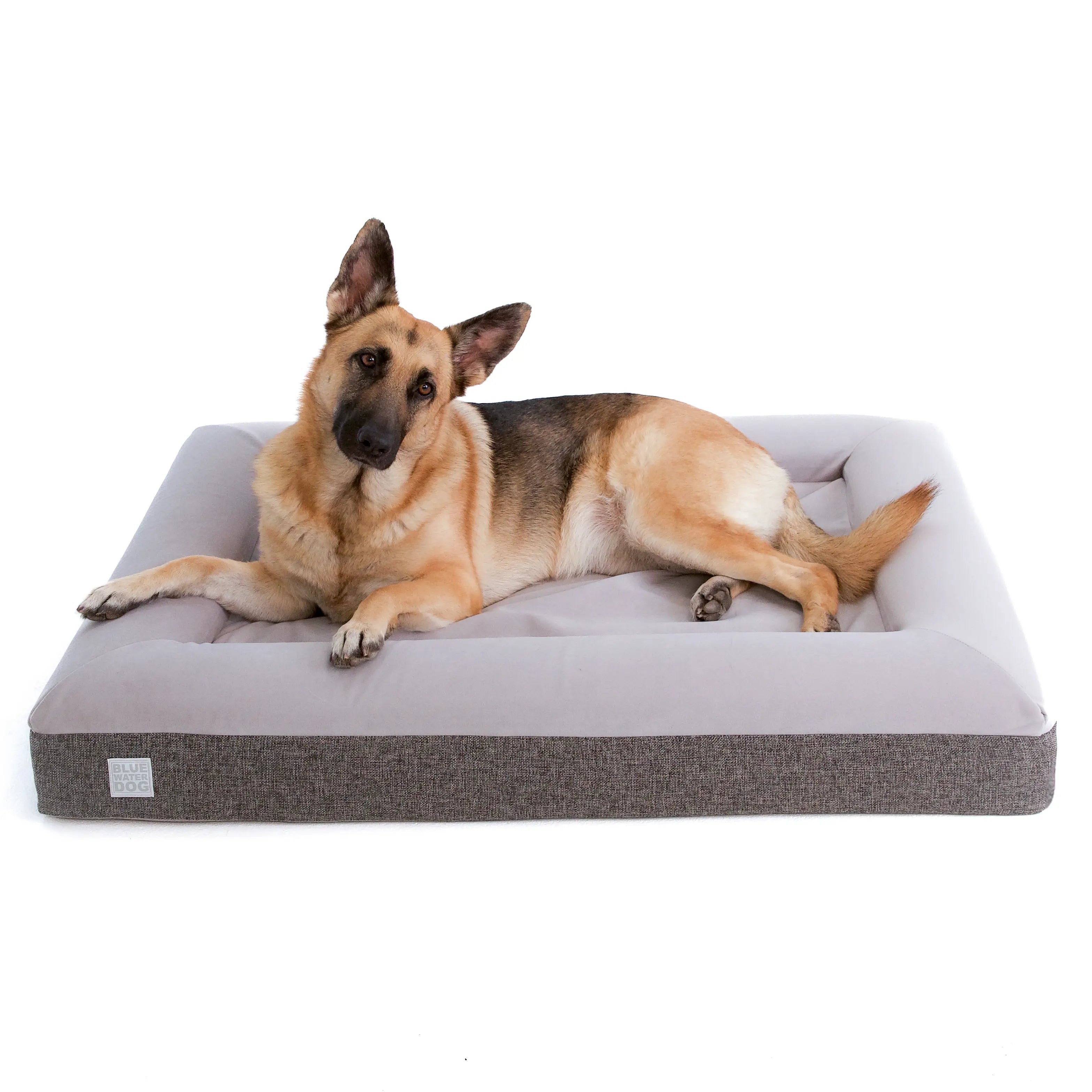 Large Luxury Essential Orthopedic Bluewater Dog Bed (Gray)