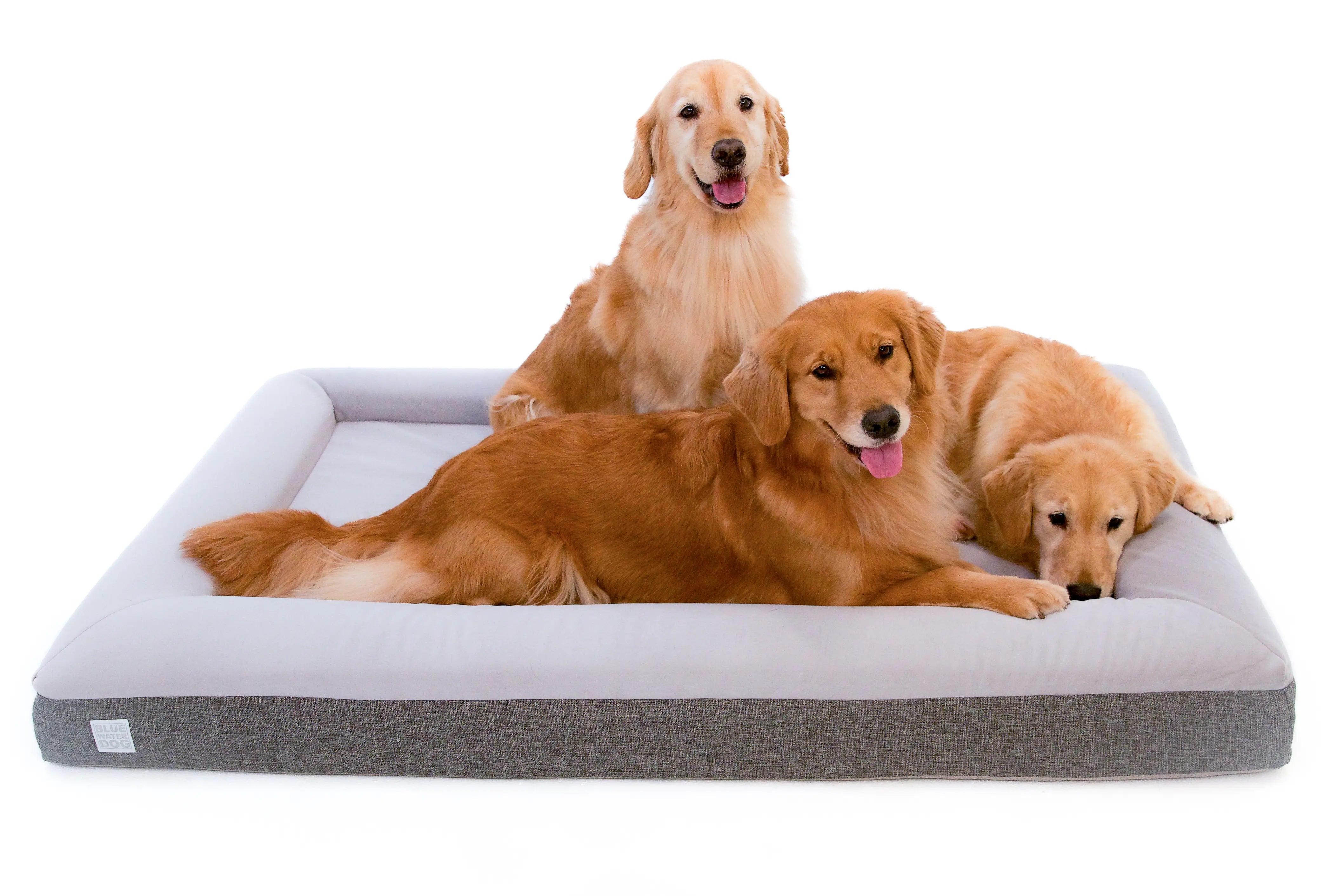 Extra Large Luxury Essential Orthopedic Bluewater Dog Bed (Gray)