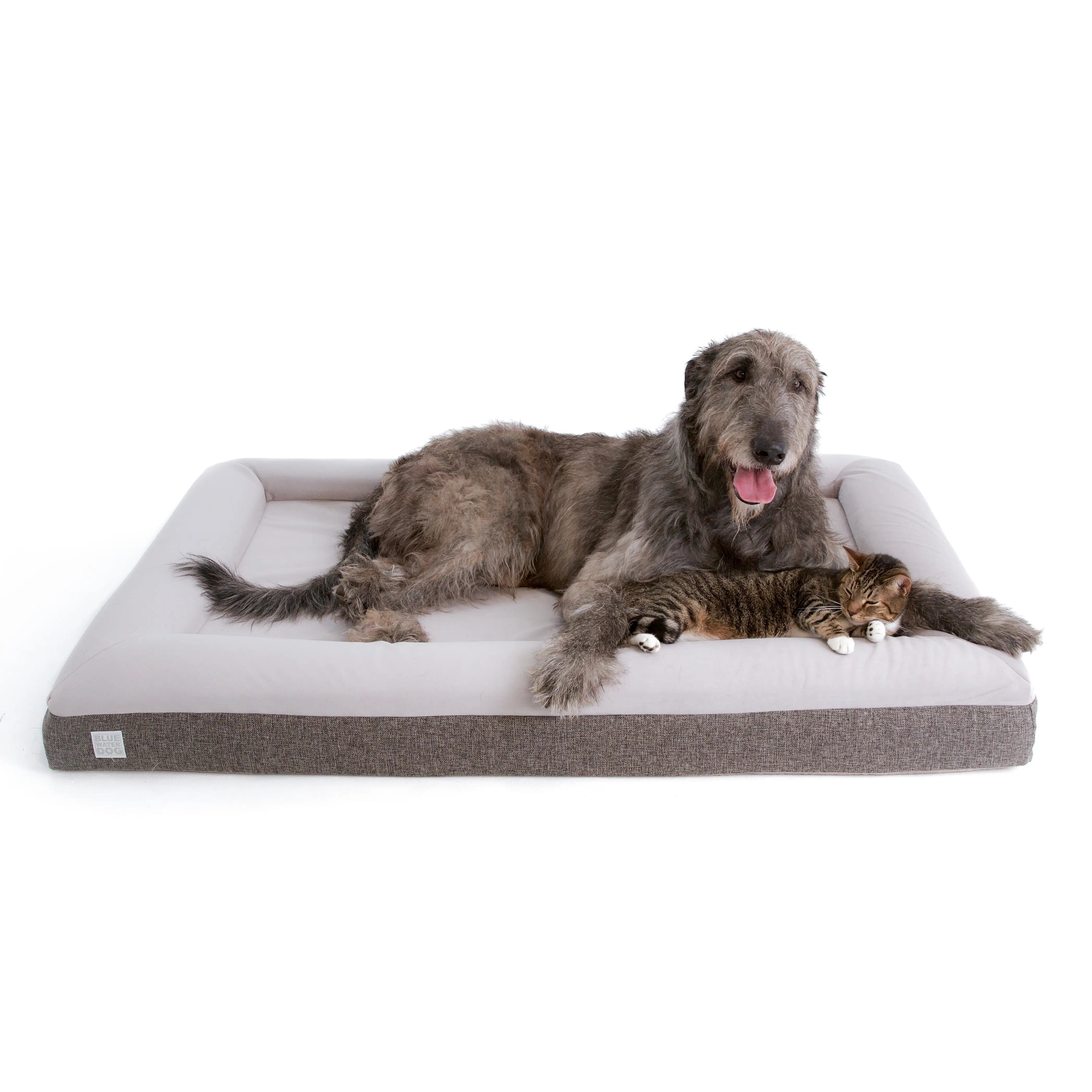 Extra Large Luxury Essential Orthopedic Bluewater Dog Bed (Gray)