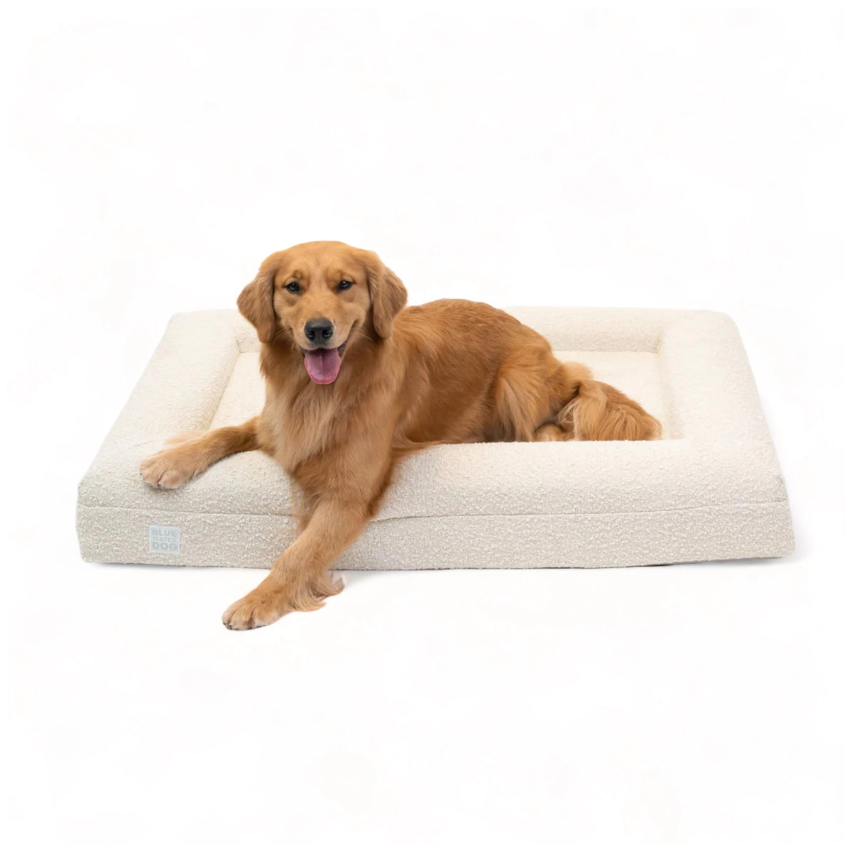 Fala deluxe orthopedic memory foam bolster dog sales bed