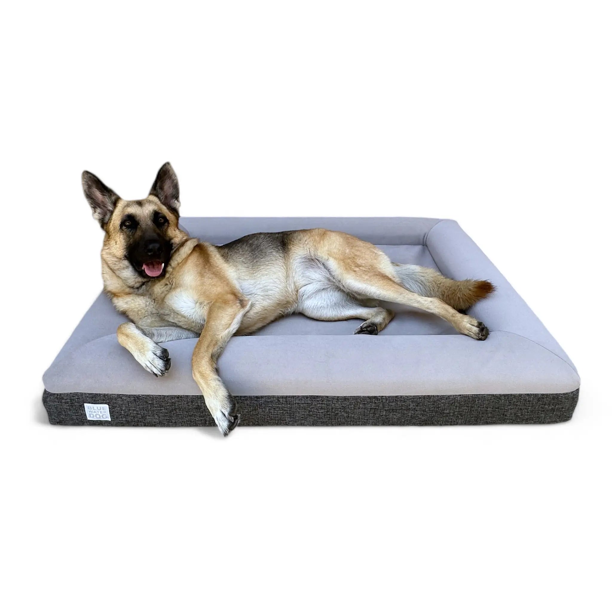 Large Luxury Essential Orthopedic Bluewater Dog Bed (Gray)