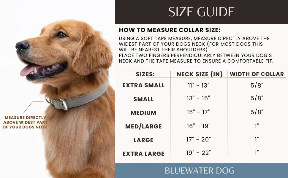 Durable Waterproof Dog Collar (Oyster)