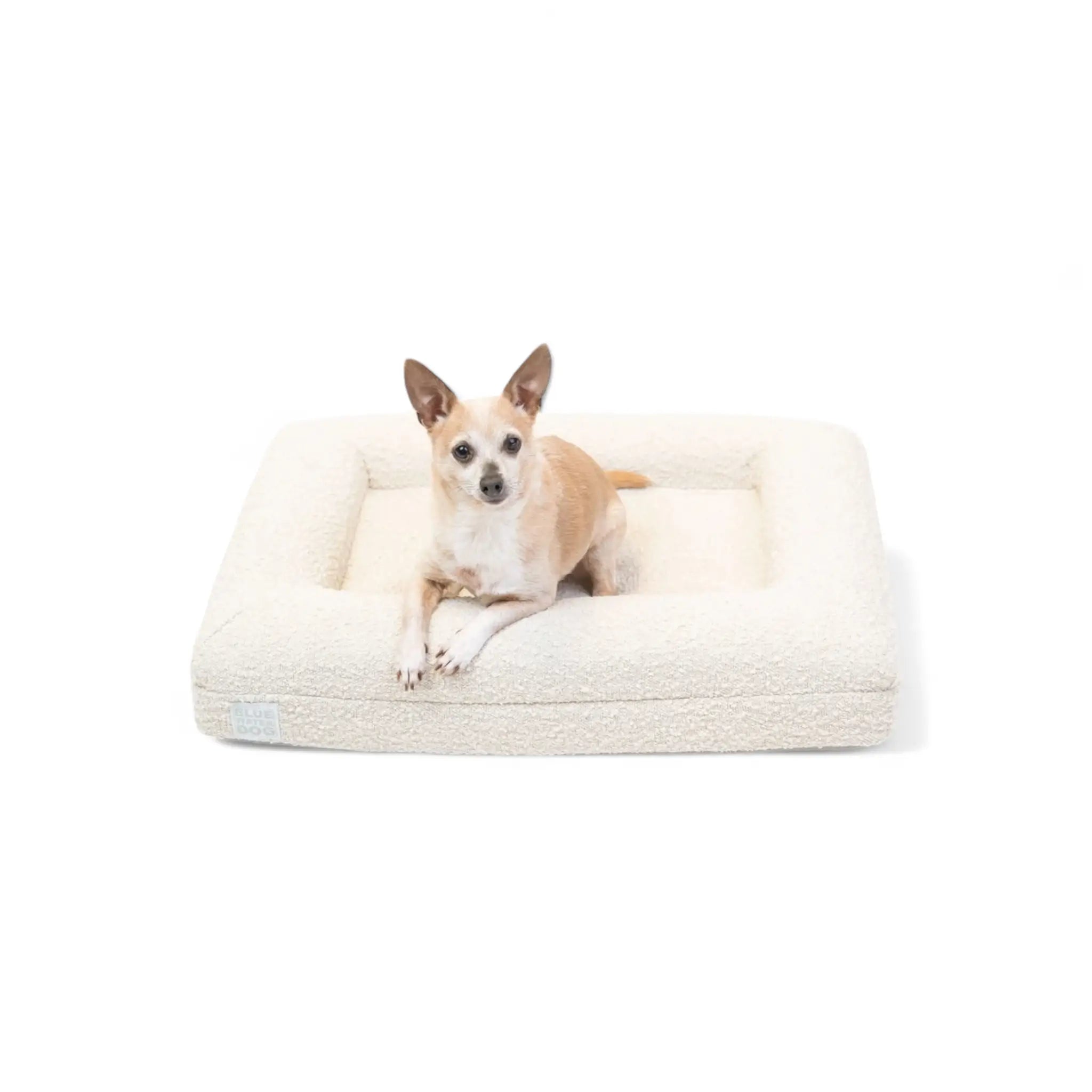 Small Luxury Bouclé Orthopedic Bluewater Dog Bed (Cloud)