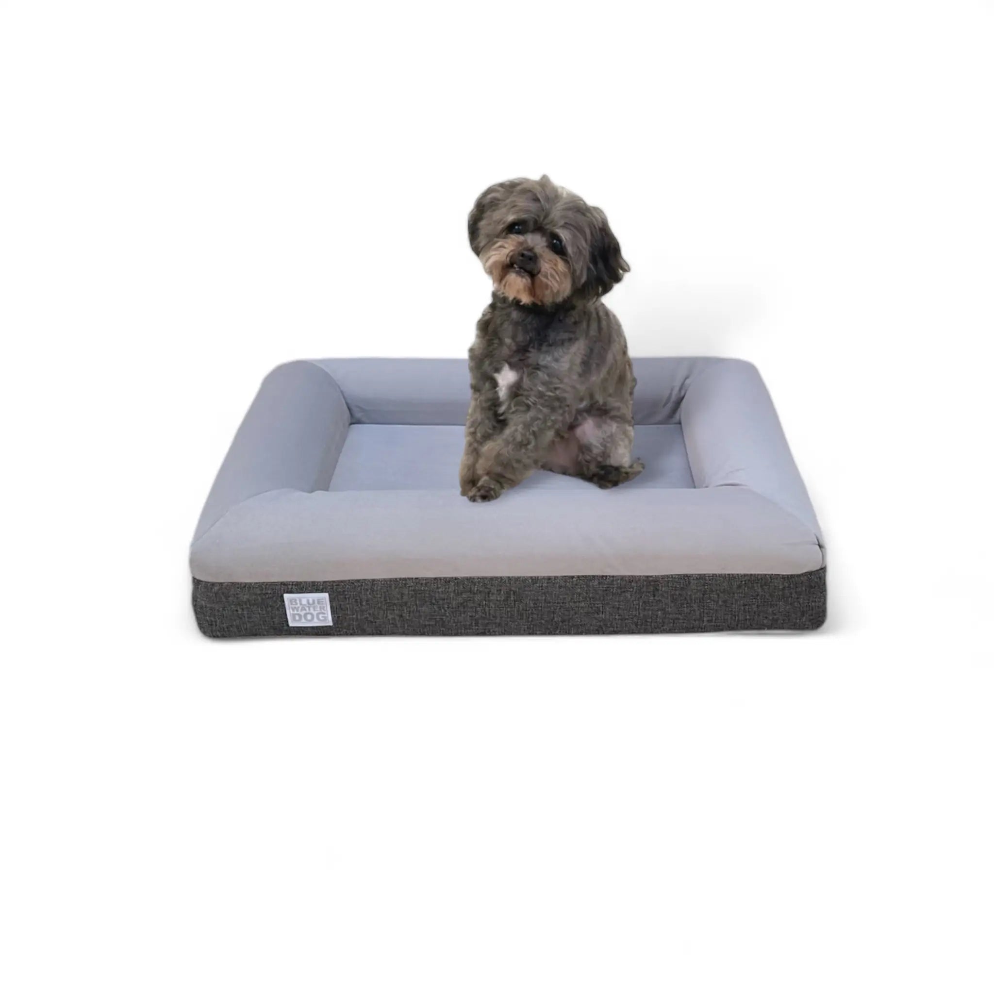 Small dog sitting on a small gray orthopedic dog bed.