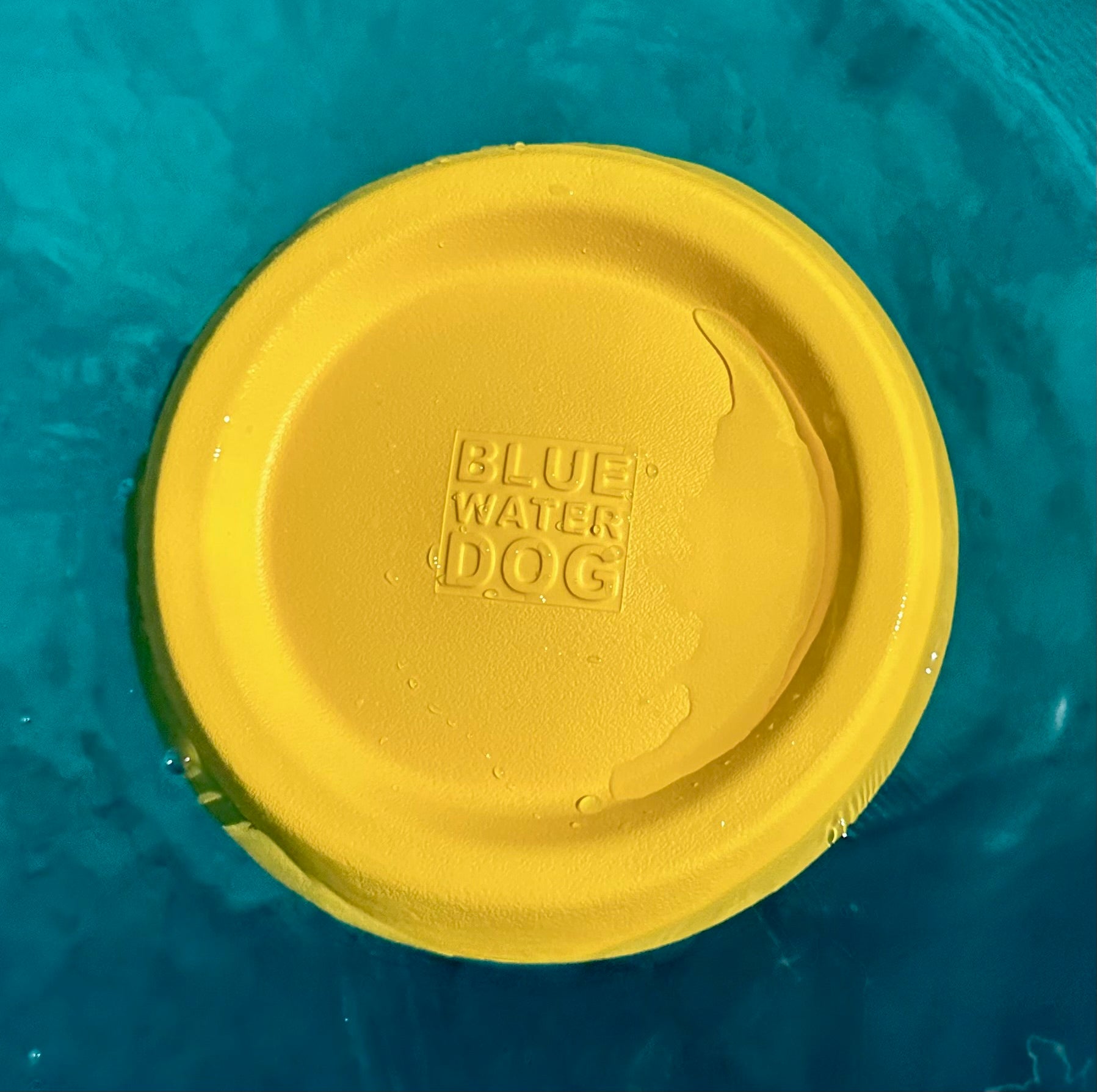 Water frisbee outlet for dogs